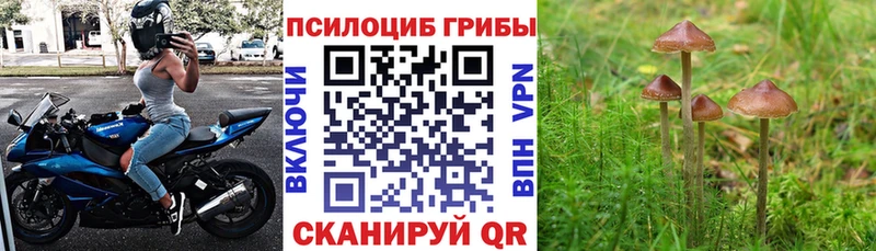 хочу   Меленки  даркнет формула  Псилоцибиновые грибы мухоморы 